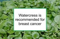 Watercress is recommended for breast cancer