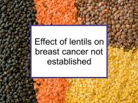 Effect of lentils on breast cancer not established