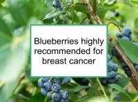 Blueberries are highly recommended for breast cancer