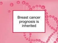 Breast cancer prognosis is inherited