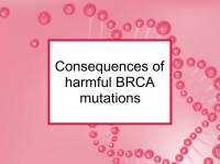 Consequences of harmful BRCA mutations