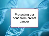 Protecting our sons from breast cancer