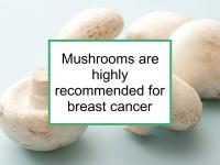 Mushrooms are highly recommended for breast cancer