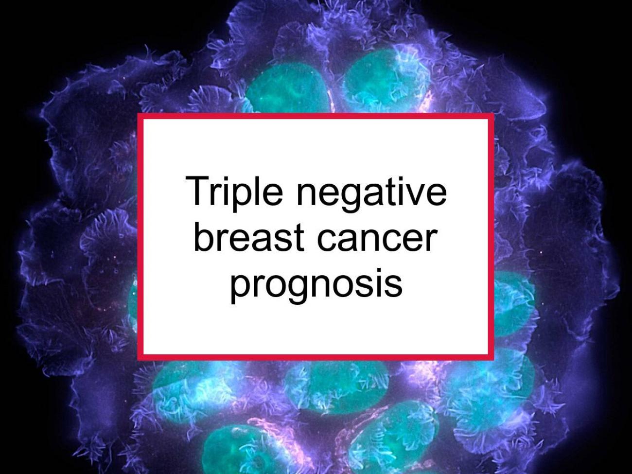 Triple Negative (ER-/PR-/her2-) Breast Cancer Prognosis