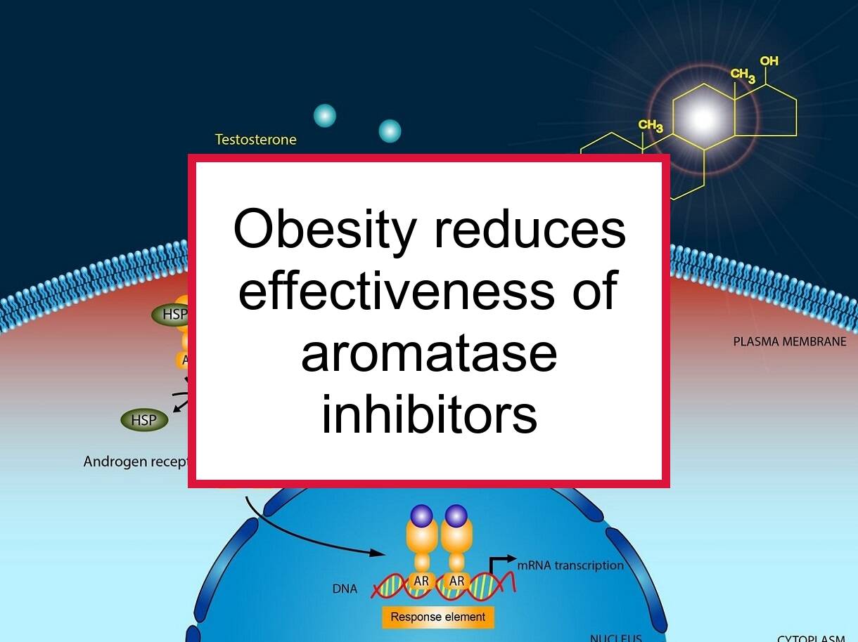 Aromatase Inhibitors Are Less Effective In Women With High BMI | Food for  Breast Cancer