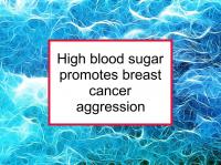 High blood sugar promotes BC aggression