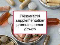 Resveratrol supplementation promotes tumor growth