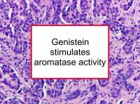 Genistein stimulates aromatase activity