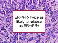 ER+/PR- twice as likely to relapse as ER+/PR+