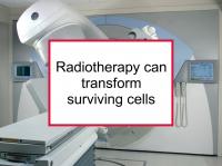 Radiotherapy can transform surviving cells
