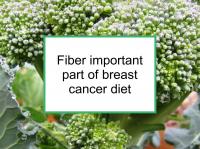 Fiber important part of breast cancer diet