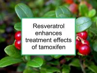 Resveratrol enhances tamoxifen treatment