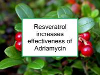 Resveratrol increases effectiveness of Adriamycin