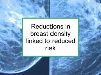 Reductions in breast density reduce risk