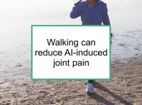 Walking can reduce AI-induced joint pain