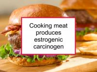 Cooking meat produces estrogenic carcinogen