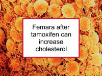 Femara after tamoxifen can increase cholesterol