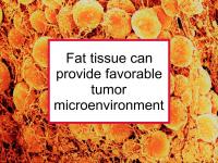 Fat tissue favorable tumor micro- environment