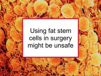 Using fat stem cells in surgery might be unsafe