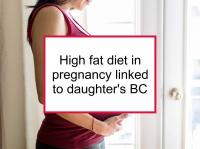 High fat diet in pregnancy linked to daughter's BC