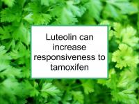 Luteolin can increase responsiveness to tamoxifen