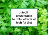 Luteolin counteracts effects of high fat diet
