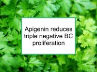 Apigenin reduces triple negative BC proliferation