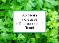 Apigenin increases effectiveness of Taxol