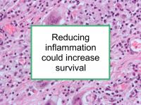 Inflammation could worsen BC survival