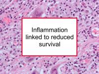 Inflammation linked to reduced survival