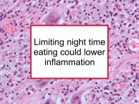Limiting night time eating could lower inflammation