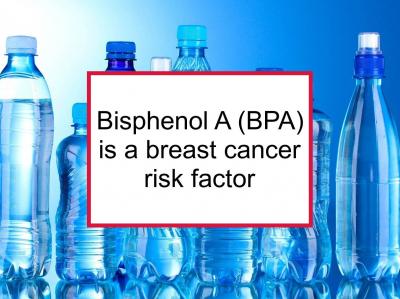 Effects Of Exposure To Bisphenol A (BPA) On BC Risk And Recurrence ...