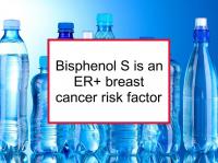 Bisphenol S is an ER+ breast cancer risk factor