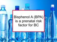 Bisphenol A (BPA) is a prenatal risk factor for BC