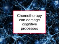 Chemotherapy can damage cognitive processes