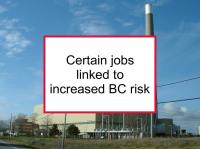 Certain jobs linked to increased BC risk