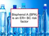 Bisphenol A (BPA) is an ER+ BC risk factor