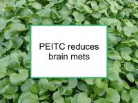 PEITC reduces brain mets