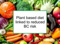 Plant based diet linked to reduced BC risk