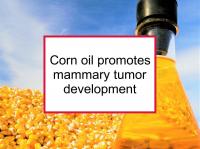 Corn oil promotes tumor development