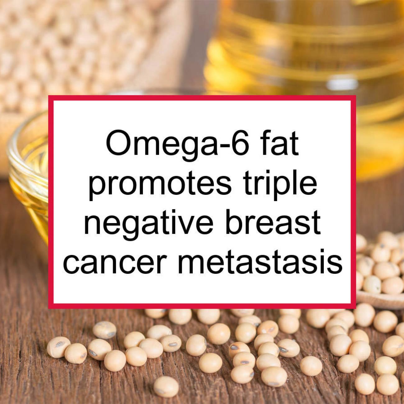 Common Omega 6 Fat Promotes Metastasis Of TN Breast Cancer Cells