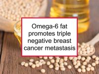 Omega-6 fat promotes triple negative breast cancer metastasis