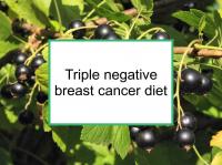 Anthocyanin inhibits triple negative breast cancer
