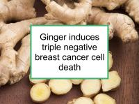 Ginger induces triple negative breast cancer cell death