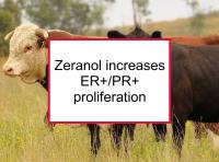 Zeranol increases ER+/PR+ proliferation