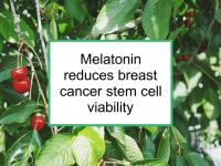 Melatonin reduces breast cancer stem cell viability