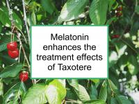 Melatonin enhances the treatment effects of Taxotere