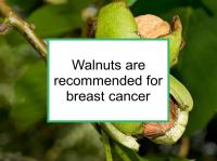Walnuts are recommended for breast cancer