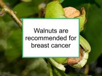 Walnuts are recommended in moderation