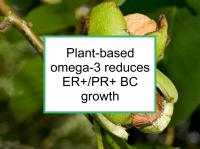 Plant-based omega-3 reduces BC growth